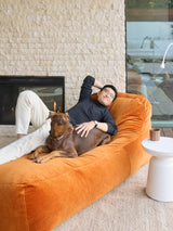 A person lounging on an orange velvet divan with a dog on their lap, in a room with a fireplace and glass door.